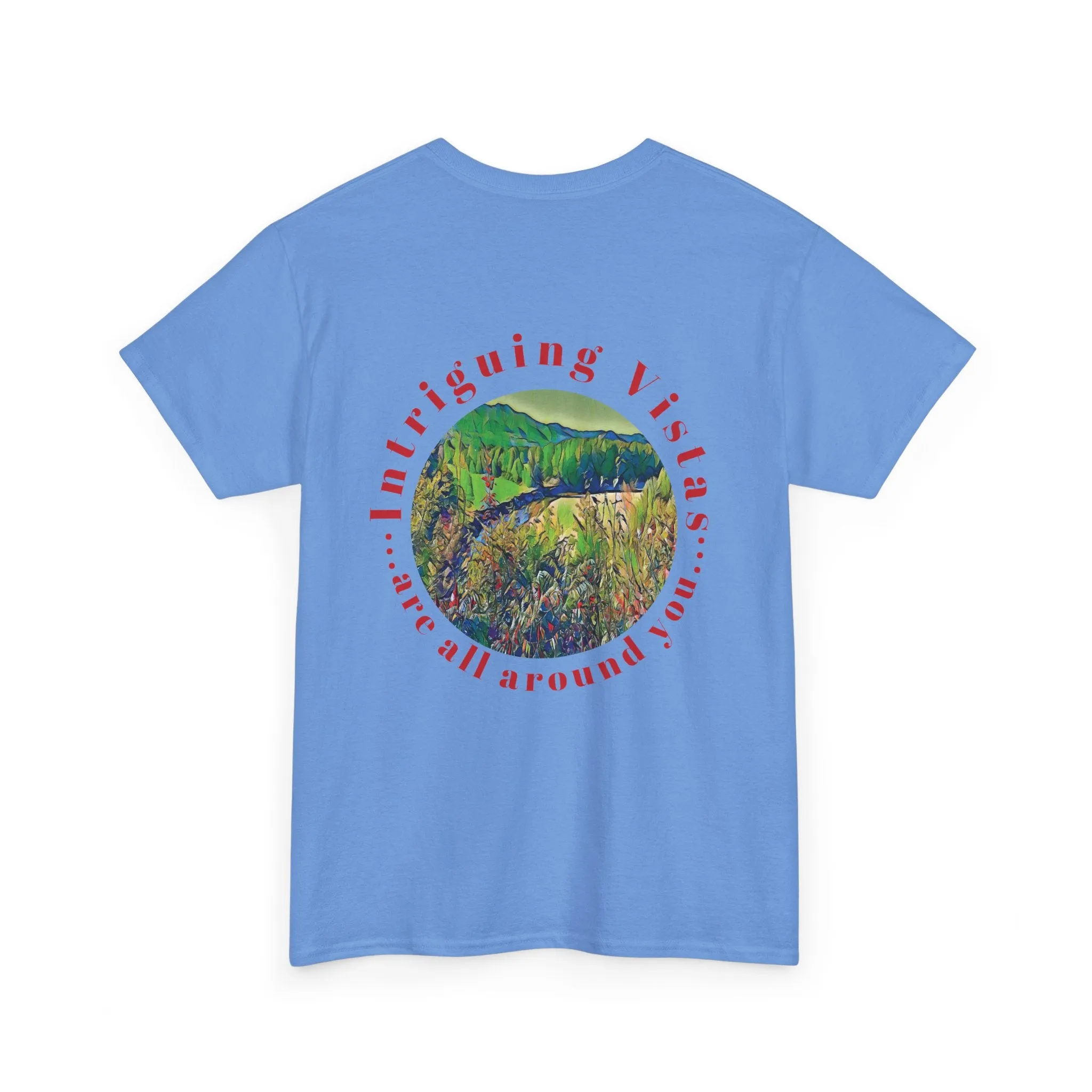 Gildan 5000 Unisex Adult Heavy Cotton Tee Available In Multiple Colors from the Scenery Series at Intriguing Vistas