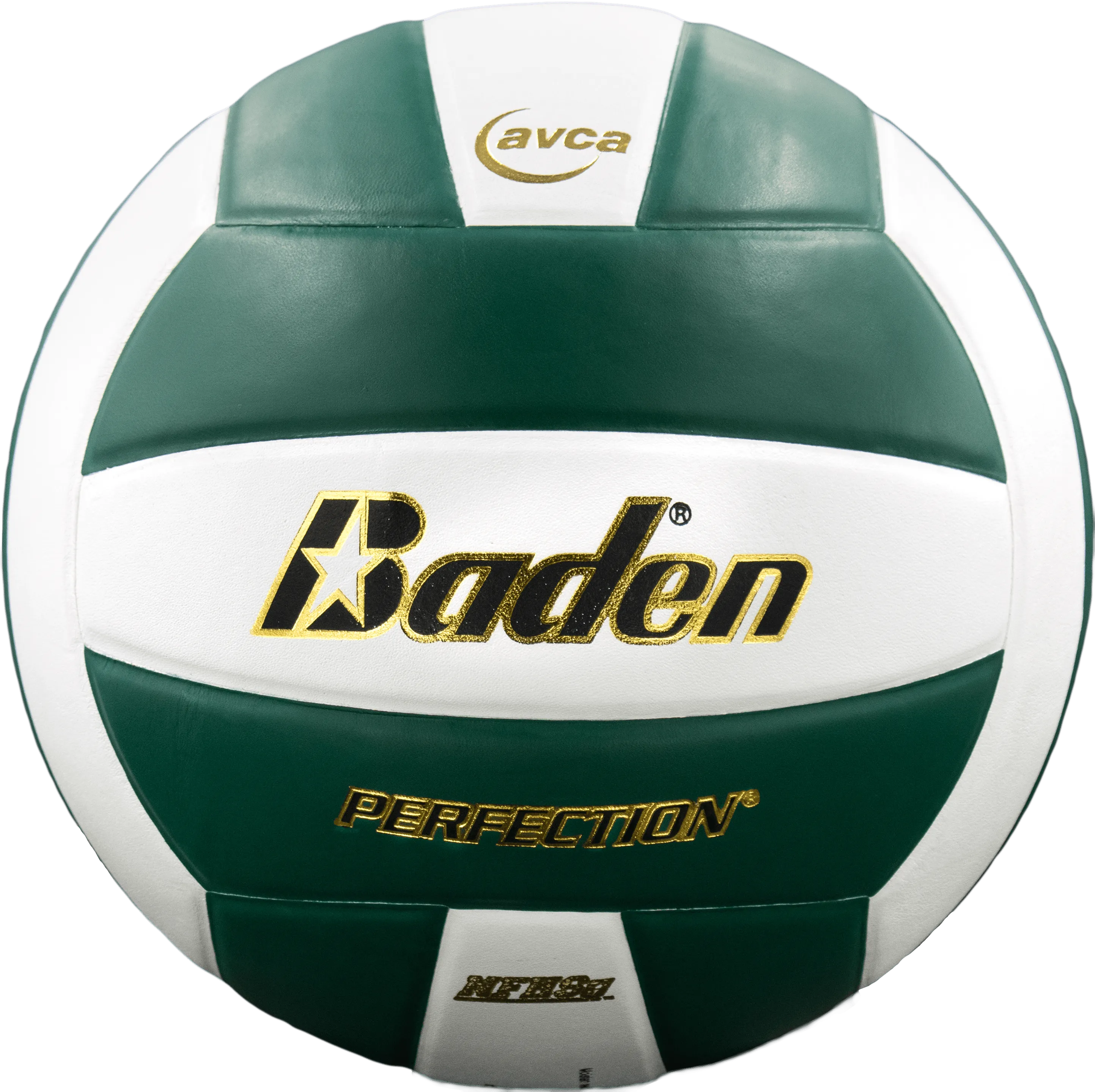 Perfection Leather Volleyball