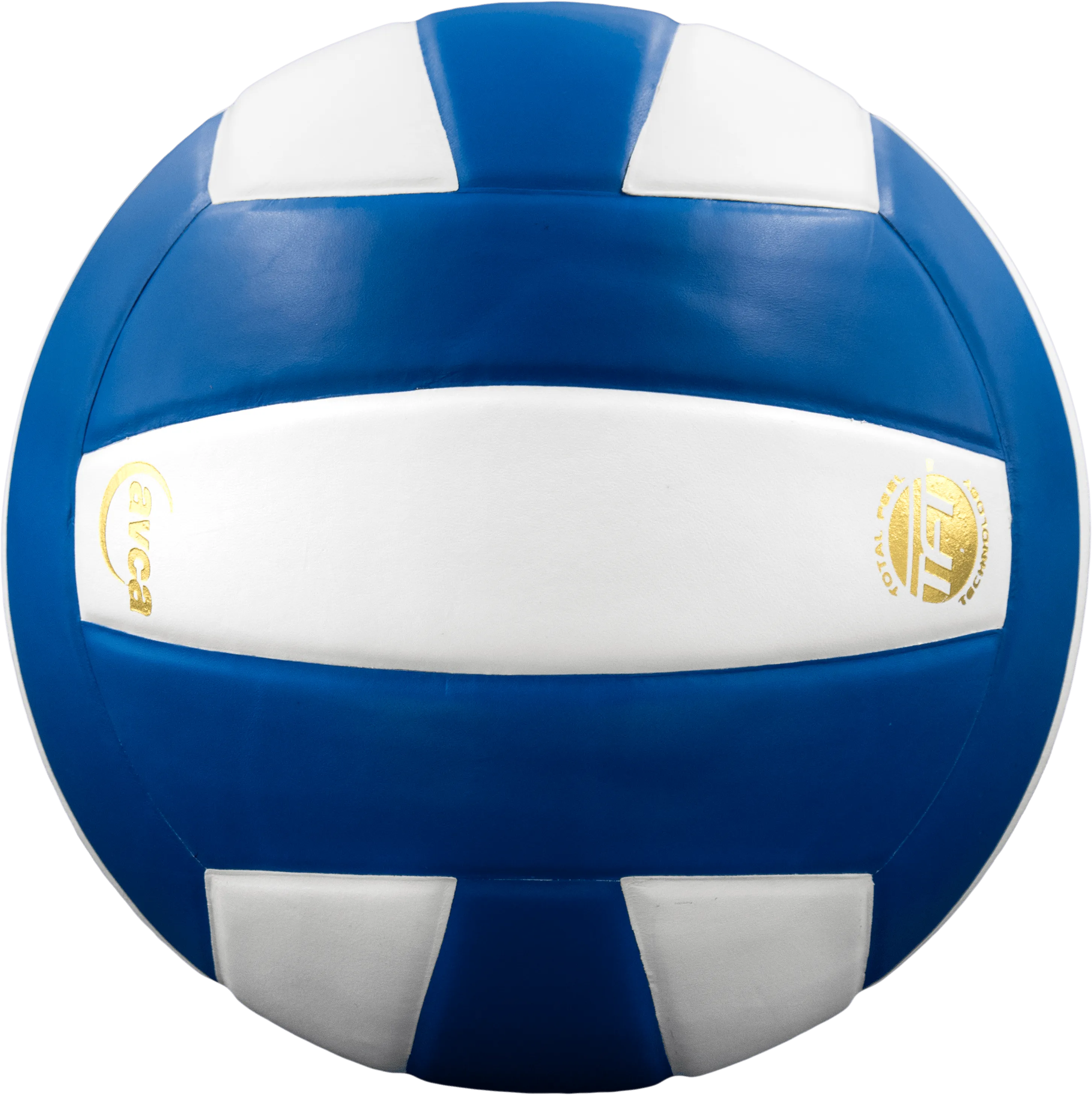 Perfection Leather Volleyball