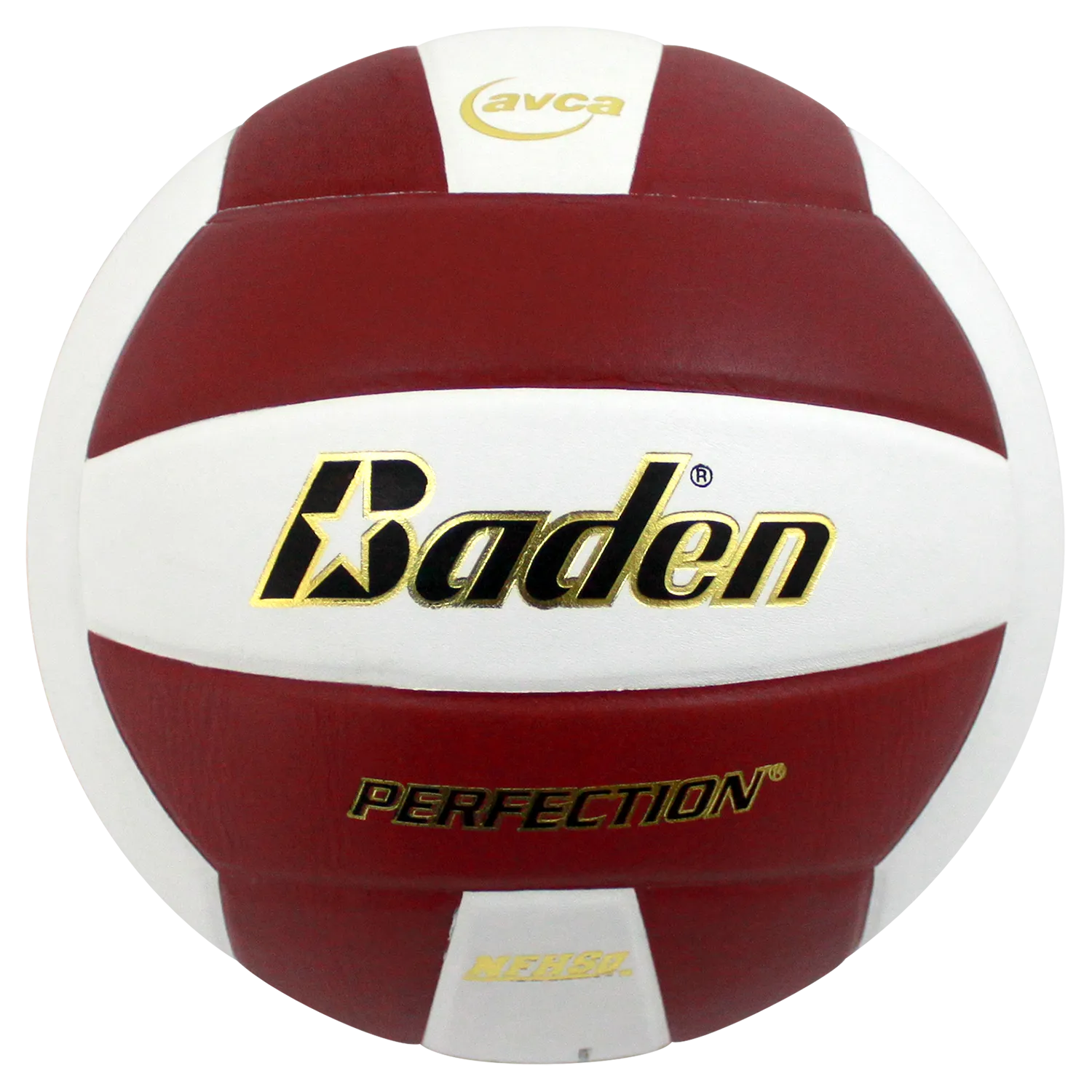 Perfection Leather Volleyball