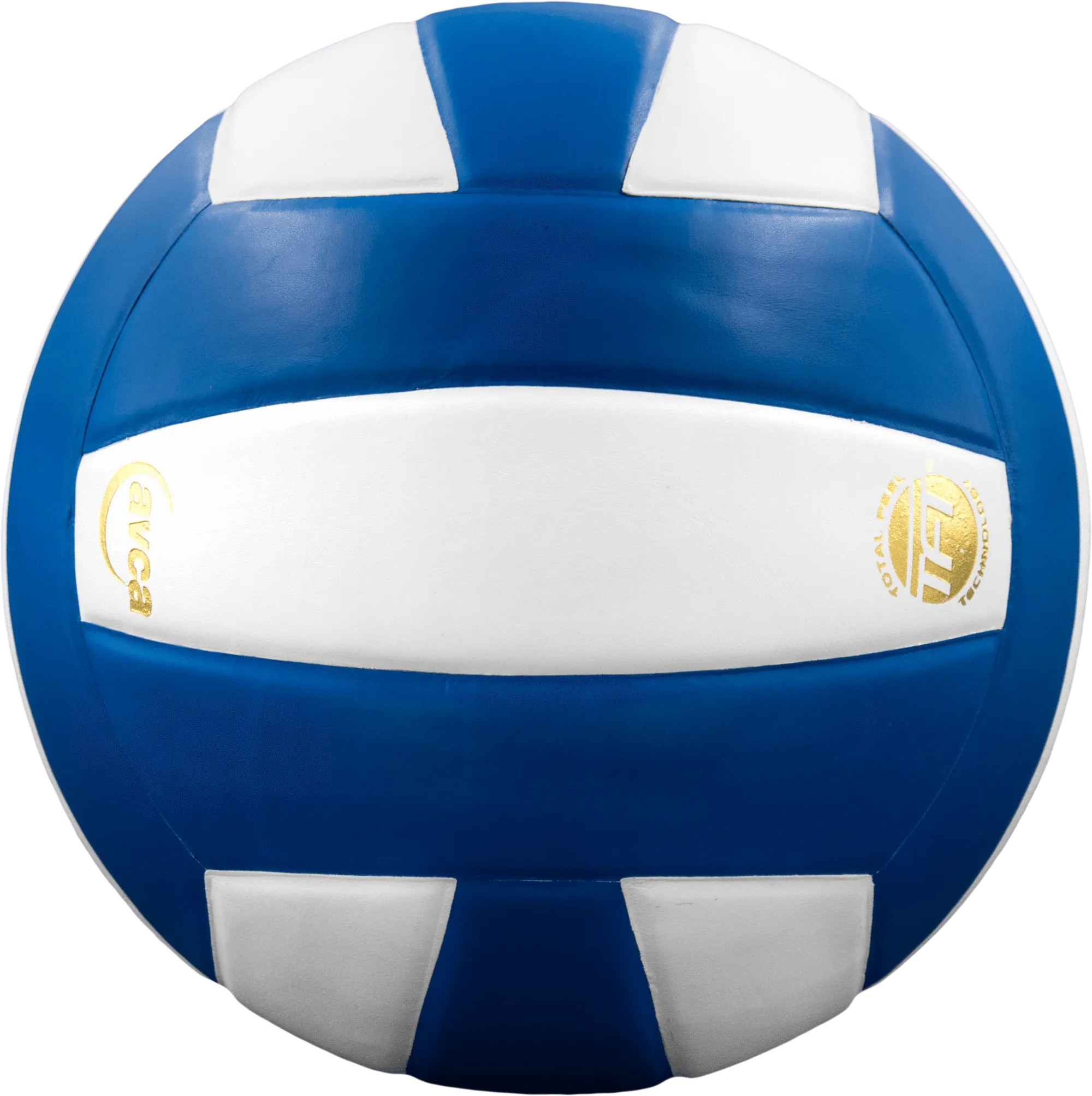 Perfection Leather Volleyball