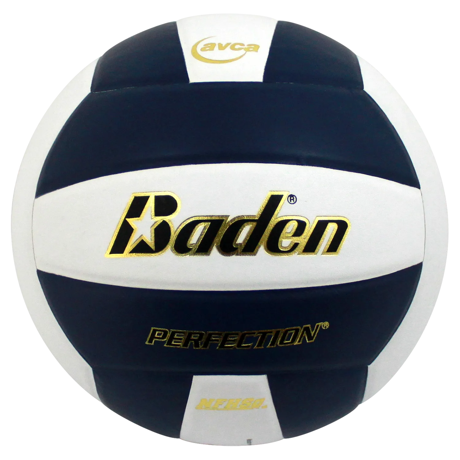 Perfection Leather Volleyball