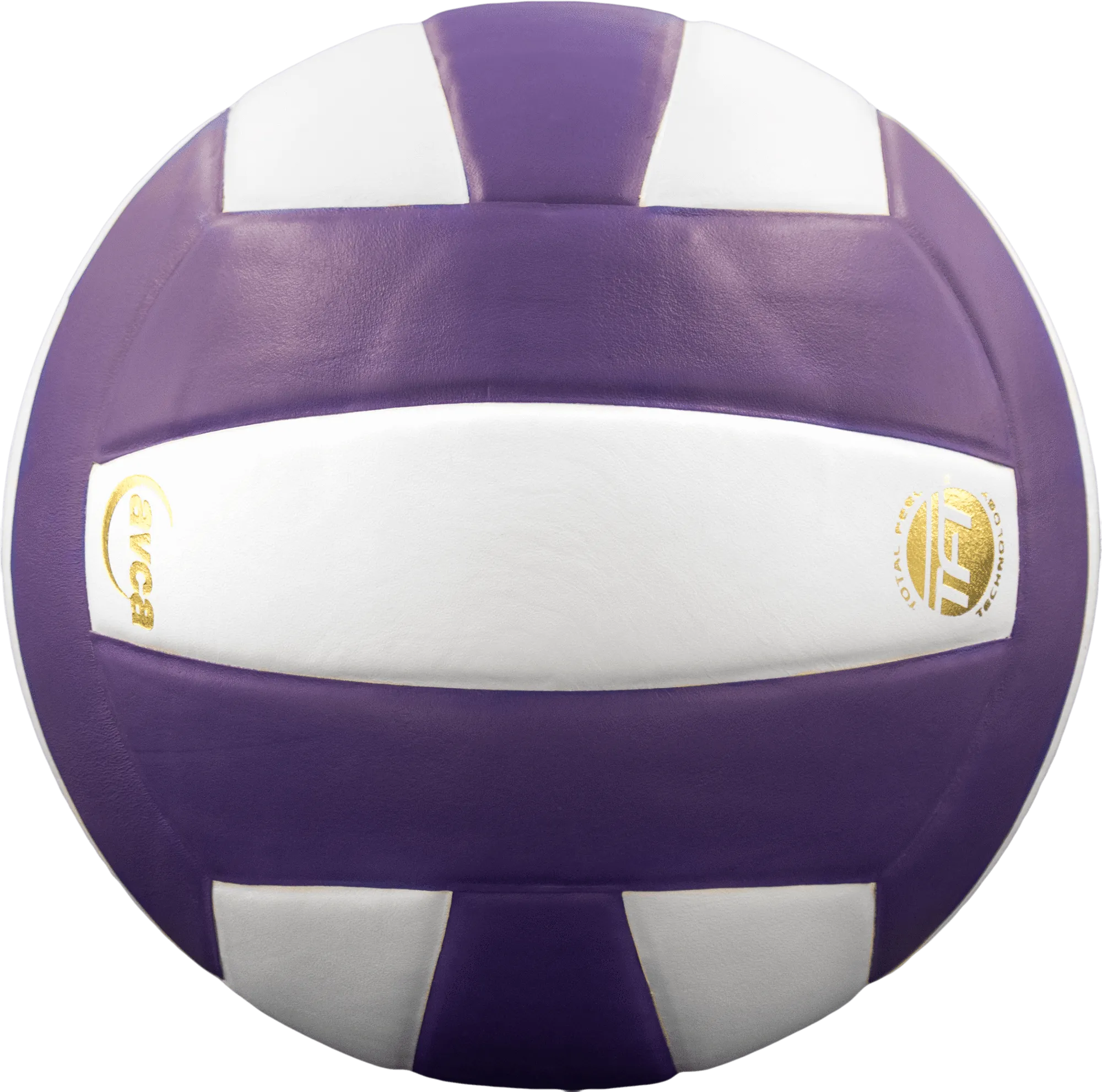 Perfection Leather Volleyball