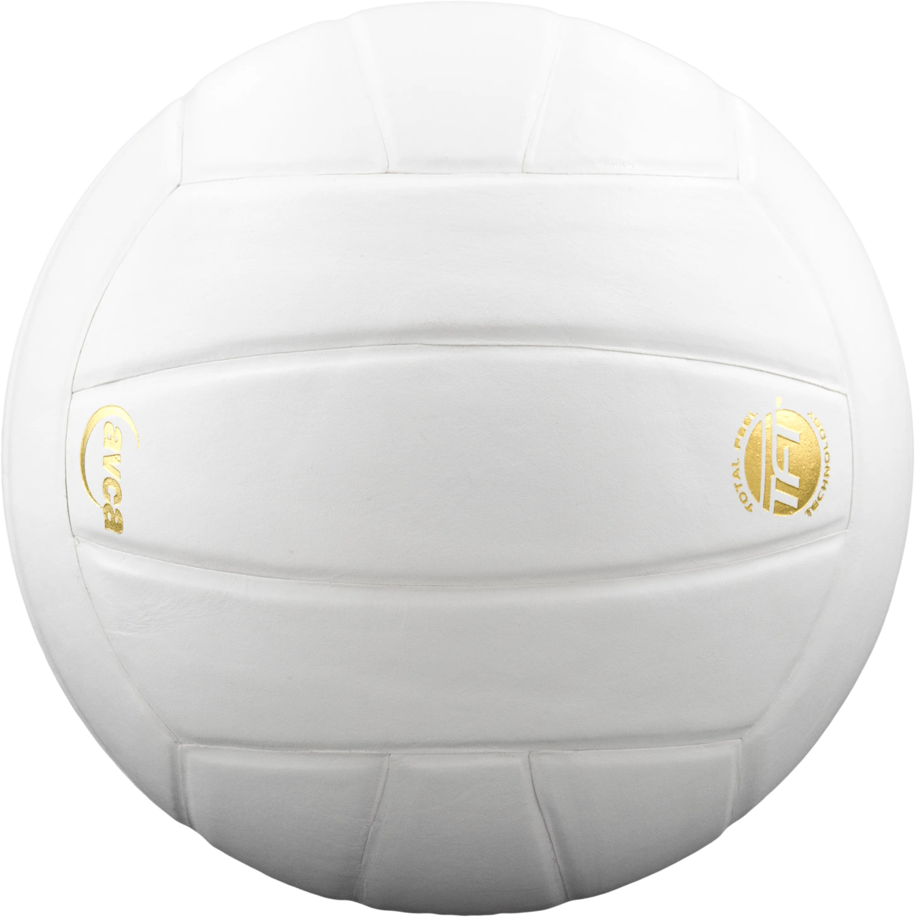 Perfection Leather Volleyball