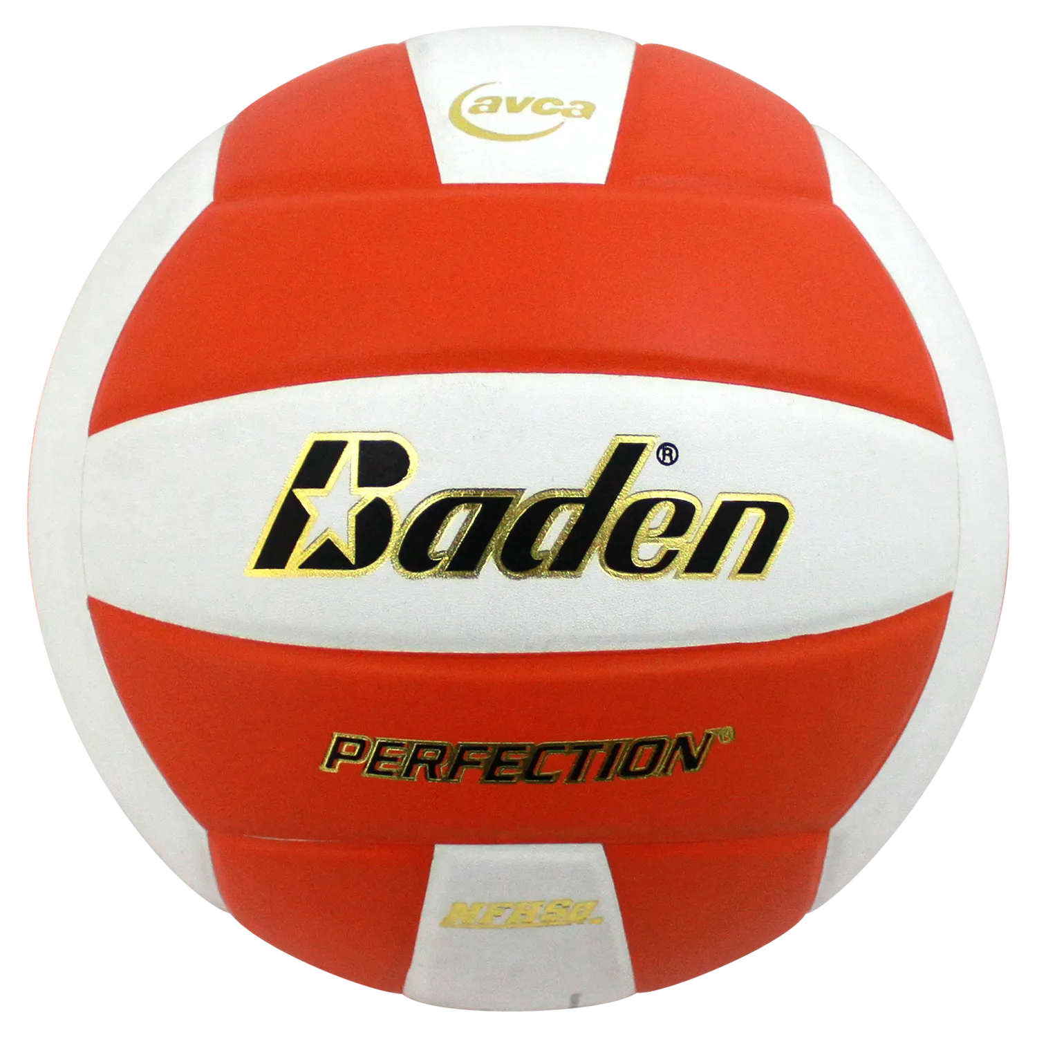 Perfection Leather Volleyball