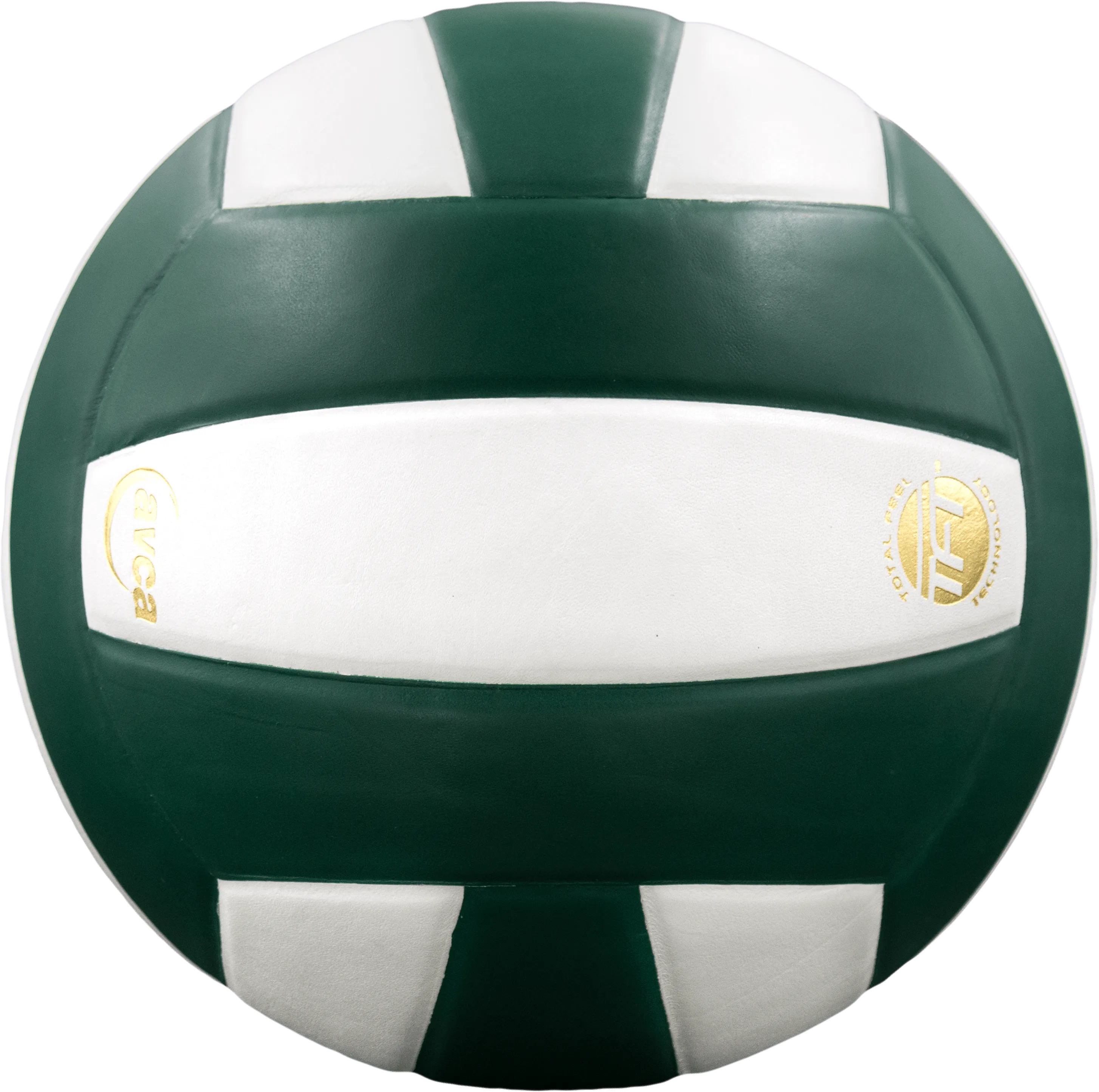 Perfection Leather Volleyball