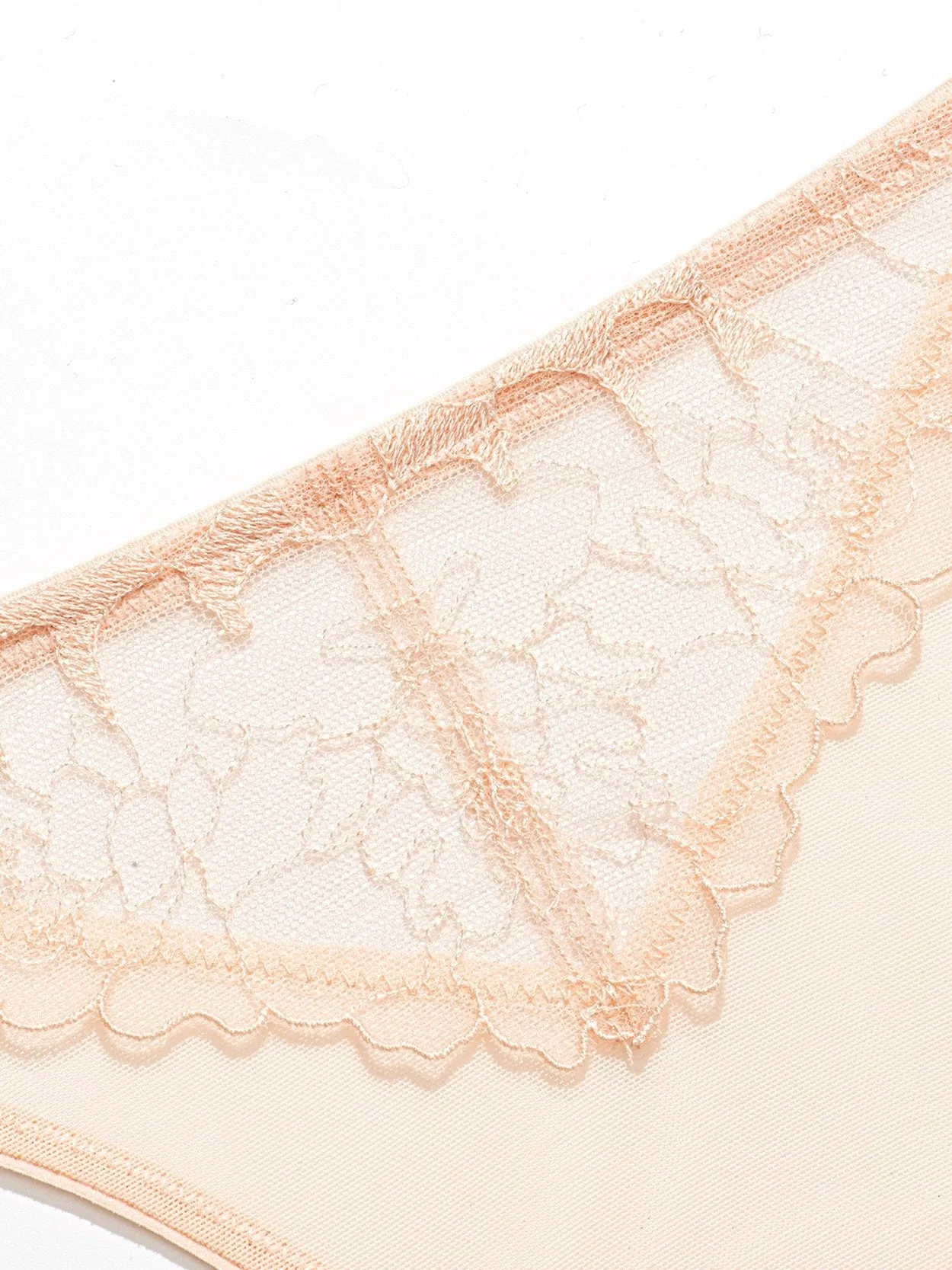 Sexy Embroidered Low Waist 2PCS Nude