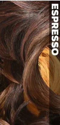 VANESSA HONEY C BRAZILIAN HUMAN HAIR BLEND LACE FRONT WIG TCHB CHELIS