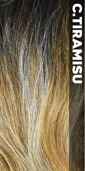 Vanessa Honey-C Swissilk Lace Front C-SIDE PART WIG TCHB JEPIX (01)