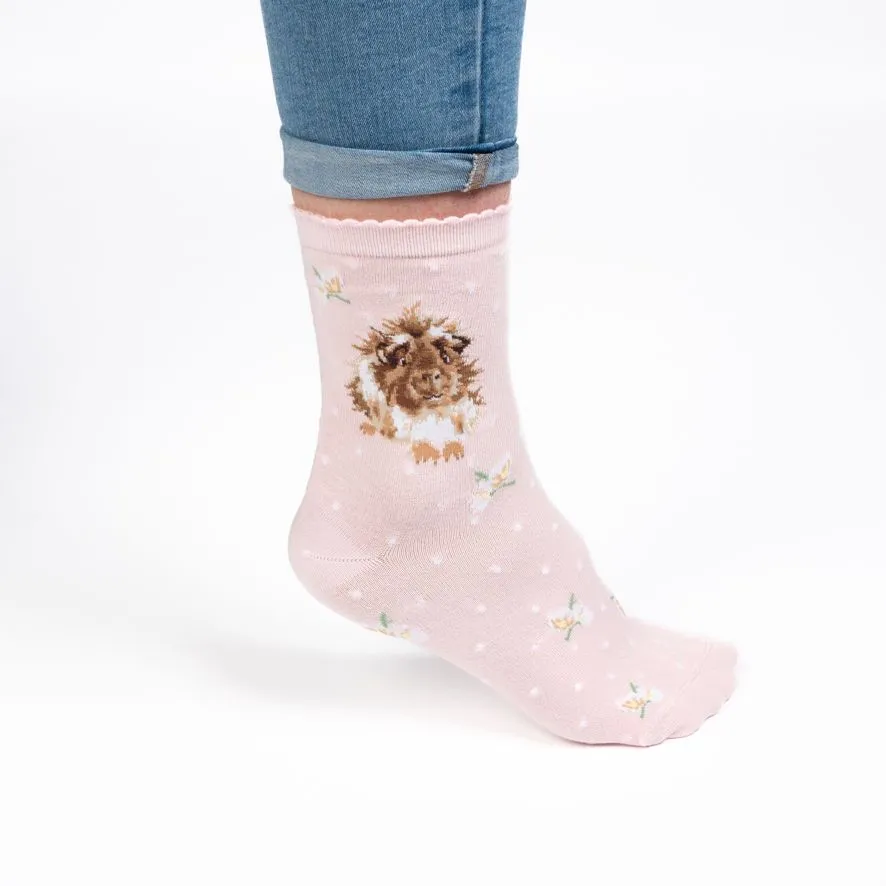 Wrendale 'Grinny Pig' Socks