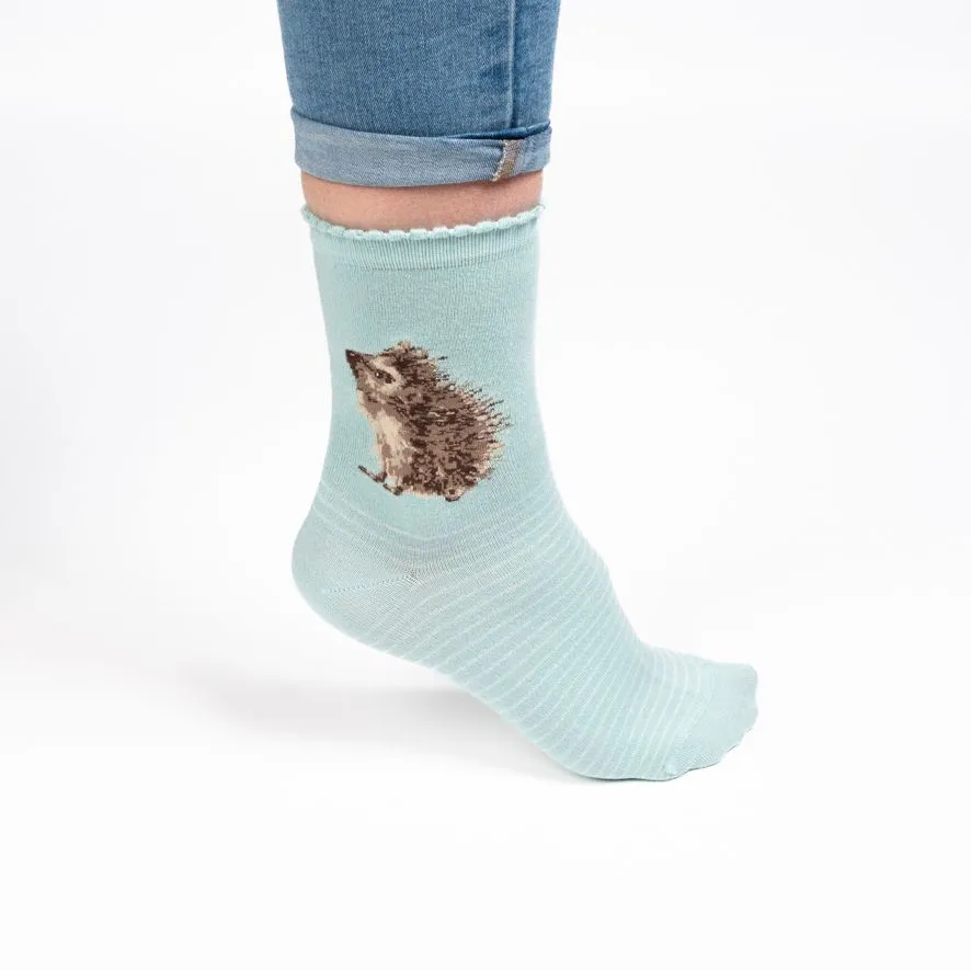 Wrendale 'Hedgehugs' Socks